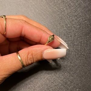 The North Start 🌟✨